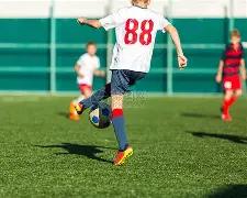 山东体育代,表团全运会,成就,买球平台哪个好,买球平台官方网站,买球好平台网站,世俱杯买球平台