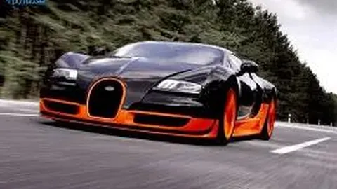 买球平台官方网站 资讯 123431 516