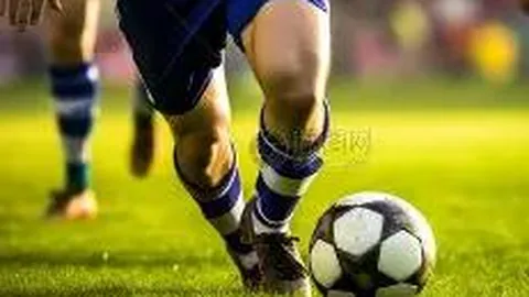 买球平台官方网站 资讯 123804 drb